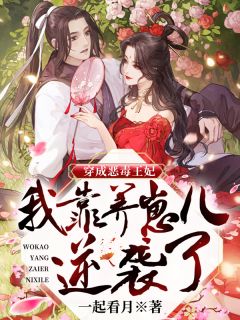 红颜政道周平林慕蝶完结版小说