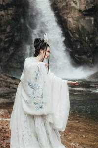 周可齐豫的小说又是海棠春落时