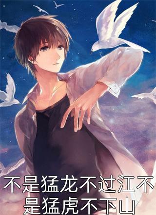 步步争权韩香怡柳擎宇全集