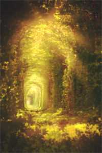 只赚钱不谈情，职业舔狗我最行