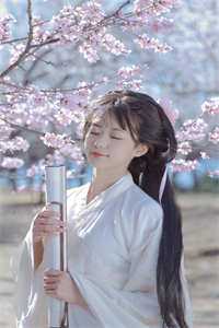 昼昼夜夜，藏尽风月最完整版
