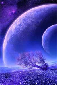 老公变成猪被婆婆炖成了汤