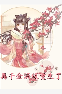 官途风云李福海宋观潮前文+后续