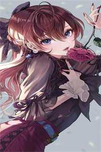 镜花不比人间月无错版