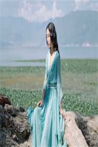 君情与妾意，各自东西流