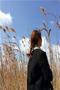全文小说爸妈被撕票，我在酒吧左拥右抱江廷圆圆
