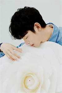 你的竹马我的劫最完整版