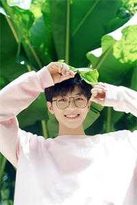 爱在云深消散处完结版小说全章节目录阅读