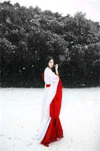 我要带着我的婆婆嫁人
