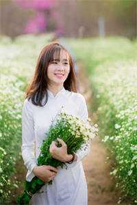 落花辞君