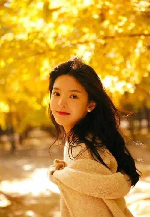 小说南风不知意程安林佑年全章节免费阅读