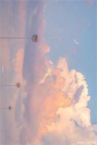 浮生未白首高口碑