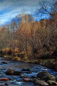 岁月长卷中的遗憾恋歌