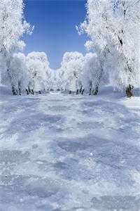 打通微循环的奇迹