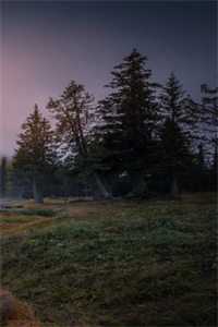 情缘尽散头难回热门小说云柔郑清欢