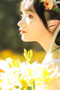 陆景琛舒窈窈不爱而已小说全文免费阅读