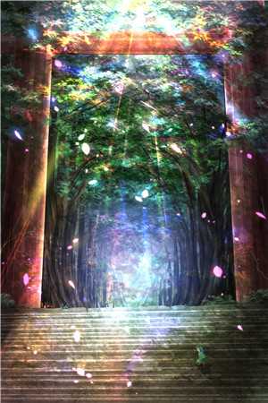 待爱已成追忆阅读