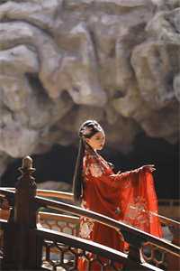 唯梦闲人不梦君