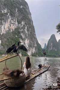 爱里的谎言，仇恨的真相周晚晴顾轻舟最新章节列表