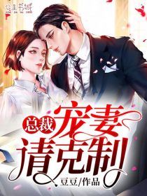 爱与执念皆虚无：段野宋妍番外笔趣阁