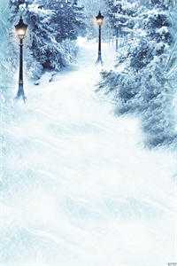 唐雪瑶张扬私人神医小说