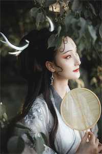 鸢尾花开