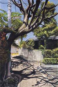 我是星二代的影子