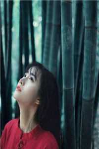 秦寻苏梨爱恨终无，逝水无情小说