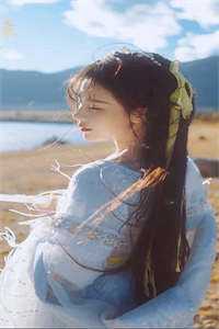 官婿美人香全篇