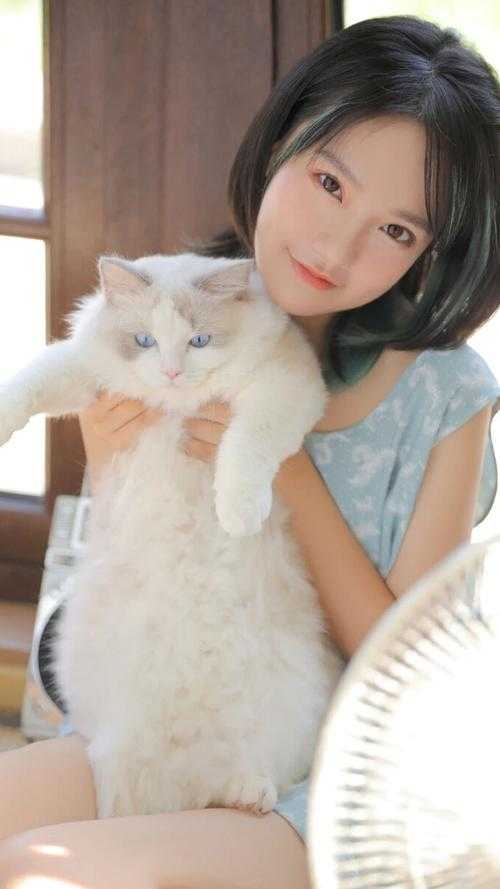 凌云志之薯汉风云