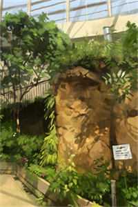 官道凶猛结局+番外