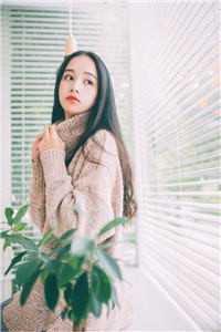 身如不系之舟免费