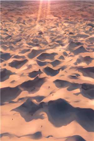 私教大神爱上我后疯狂打脸前妻