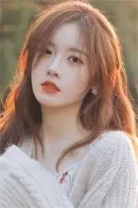 天使的复仇暗影