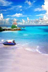 男友的女兄弟说我是果盘上岸无广告