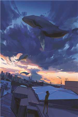 爱情在时光里流浪