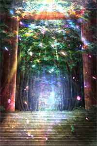 从深渊破茧：蝴蝶的救赎