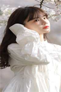 网游崛起：从新手到游侠高手