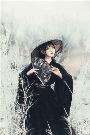 战地之光：医生与战地记者的使命