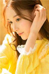 清朝末年的盗宝奇案