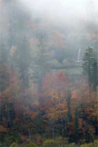 末世危途：丧尸围城下的人性