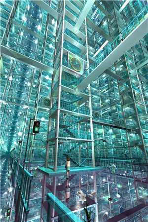 为留住皇后娘娘，陛下开始用男色了抖音热门