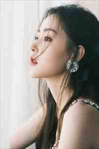 囚鸟之梦林穆全集