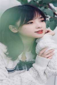 先知足球:全文+后续+结局