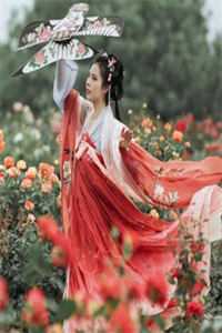 穿越回古代我成了林妹妹紫林:结局+番外