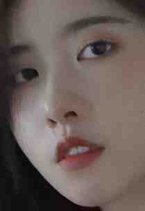 血蛊复仇之女画师干死王爷福晋顾玉:全文+结局+番外