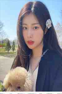 瓷器大赛，我手撕有系统的剽窃者(杨明)