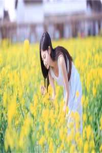 沈兮棠傅慎川的小说愿你不染人间愁
