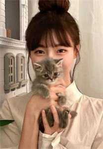 夫妻双双重生，我选择新的首富老公沐叶前文+后续