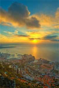 重生之医途恋歌无删减全文